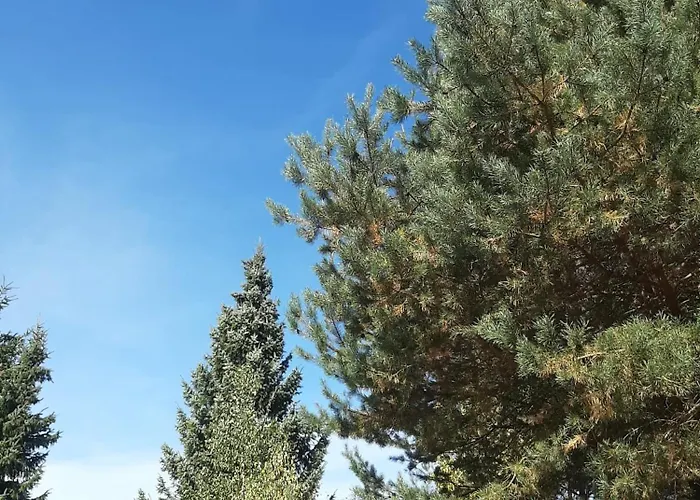 Apartamento Jespanhill *